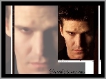 David Boreanaz, ciemne włosy